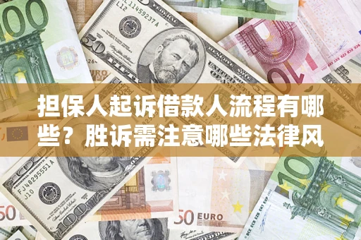 武汉担保人起诉借款人流程有哪些？胜诉需注意哪些法律风险？