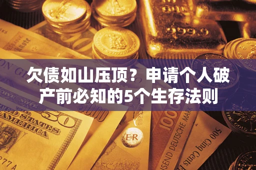 武汉欠债如山压顶？申请个人破产前必知的5个生存法则