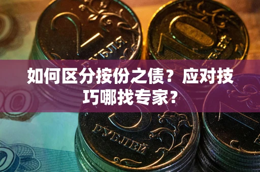 武汉如何区分按份之债？应对技巧哪找专家？